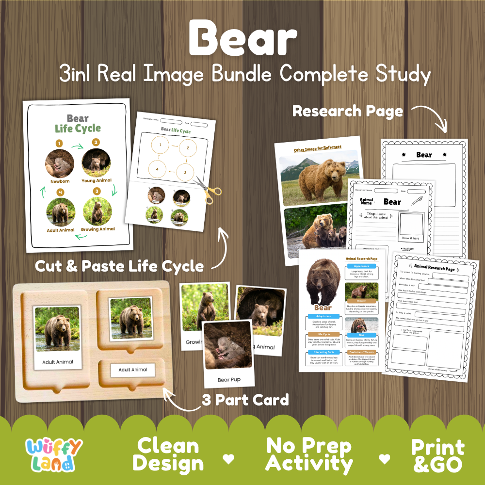 Bear 3-in-1 real image bundle complete study cover showing cut and paste life cycle, 3 part cards, and research pages