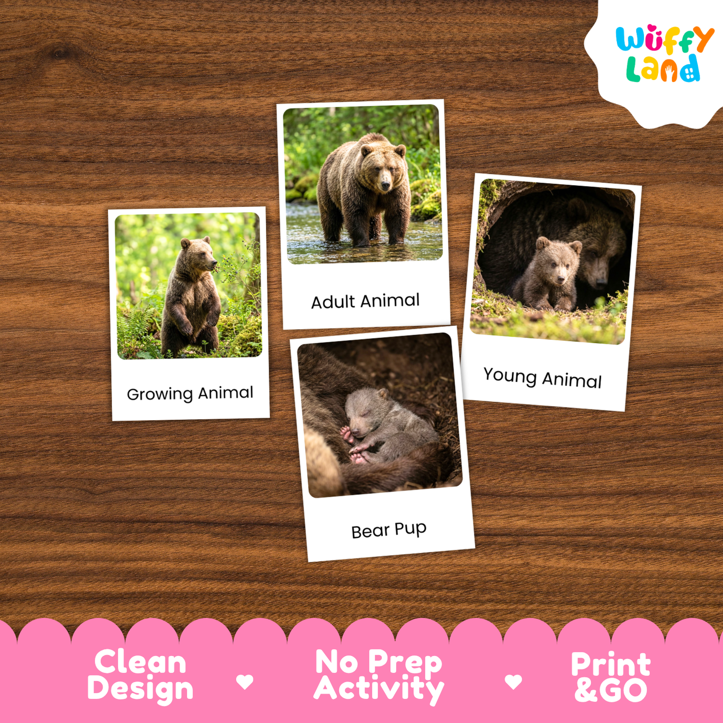 Four educational animal comparison cards showing bear images labeled Growing Animal, Adult Animal, Young Animal, and Bear Pup, arranged on a wood background with a Wuffy Land logo and feature callouts along the bottom.