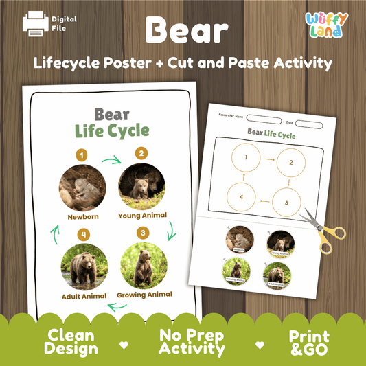 Bear Life Cycle Poster and Cut and Paste Activity Worksheets