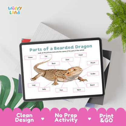 Hands-on bearded dragon anatomy cut and paste worksheet with printable word tags, callout pointer lines, and scissors graphic