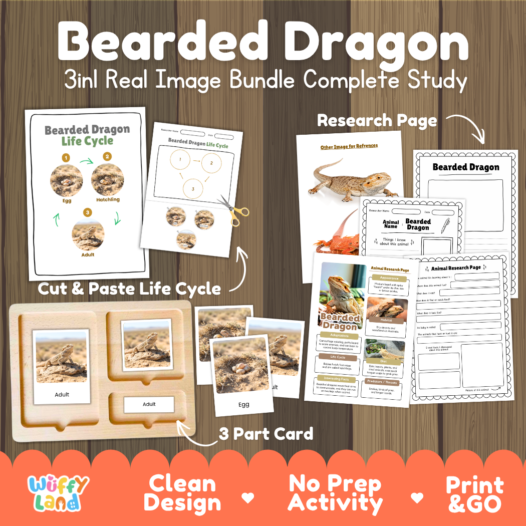 Bearded Dragon 3-in-1 real image bundle complete study cover showing cut and paste life cycle, 3 part cards, and research pages