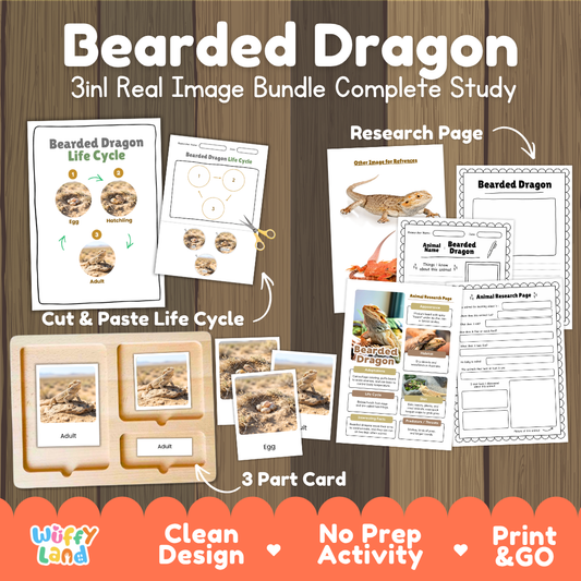 Bearded Dragon 3-in-1 real image bundle complete study cover showing cut and paste life cycle, 3 part cards, and research pages