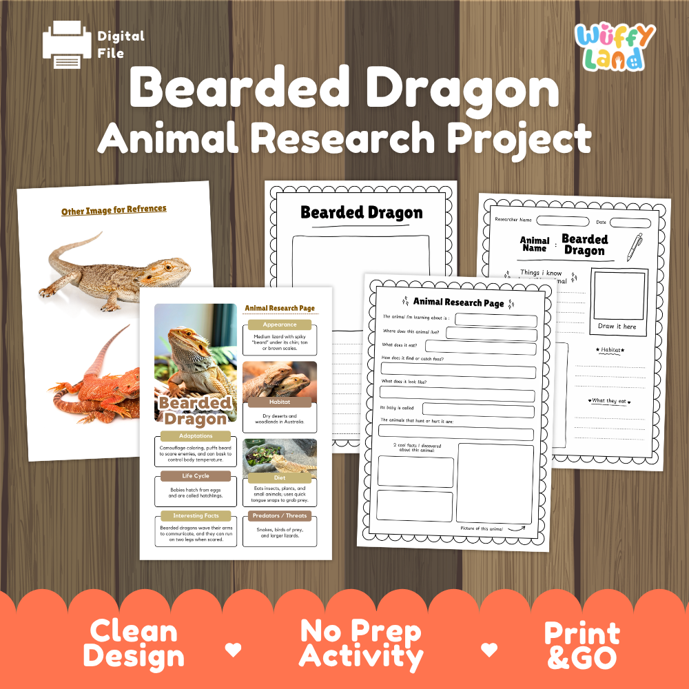 Digital activity sheet set for a 'Bearded Dragon Animal Research Project' by Wiffly Land, displayed on a wood-grain background. The graphic shows printable worksheets, a reference image sheet, and promotional text highlighting 'Clean Design', 'No Prep Activity', and 'Print & GO'.