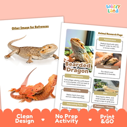 Two printed educational poster sheets about bearded dragons are shown on a peach background with an orange banner at the bottom. One sheet shows large photos of a bearded dragon, and the other is an animal research page with labeled sections for appearance, habitat, adaptations, life cycle, diet, and interesting facts.