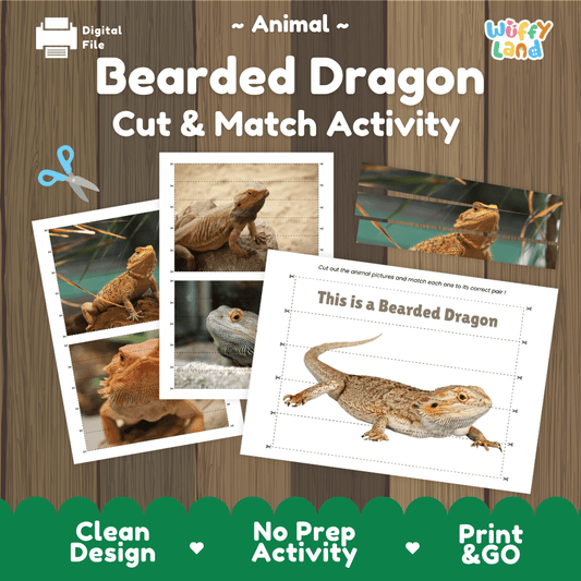 Bearded Dragon Cut and Match Activity Worksheets | Animal Puzzle Printables