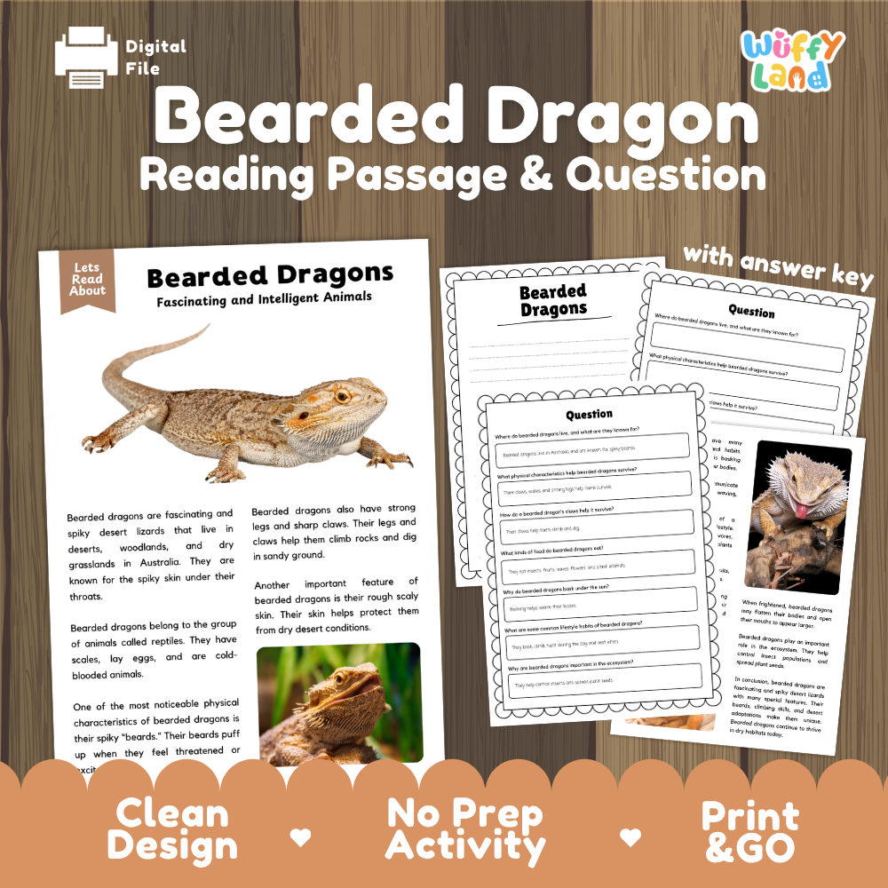 Bearded Dragon Reading Passage and Comprehension Questions Worksheets