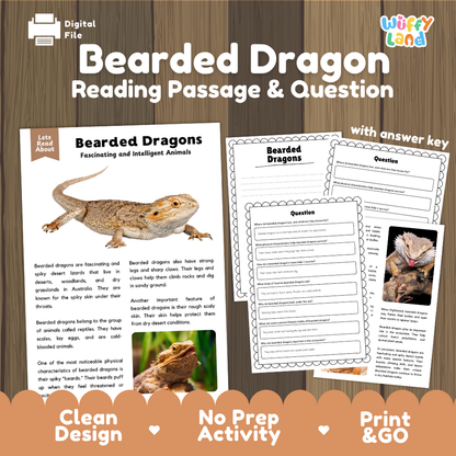 Bearded Dragon Reading Passage and Comprehension Questions Worksheets