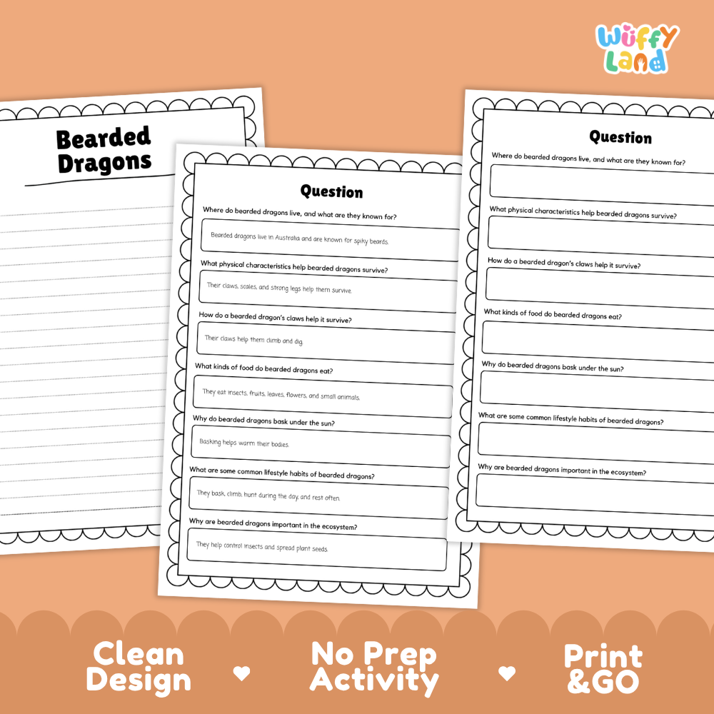 Three printable activity sheets for a 'Bearded Dragons' educational activity, displayed on an orange background with 'Wiffy Land' branding. The sheets feature black text on white paper with decorative borders.