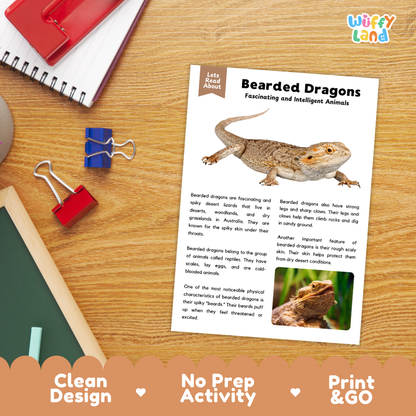 Bearded Dragon Reading Passage and Comprehension Questions Worksheets