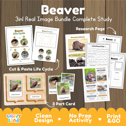 Beaver 3-in-1 real image bundle complete study cover showing cut and paste life cycle, 3 part cards, and research pages