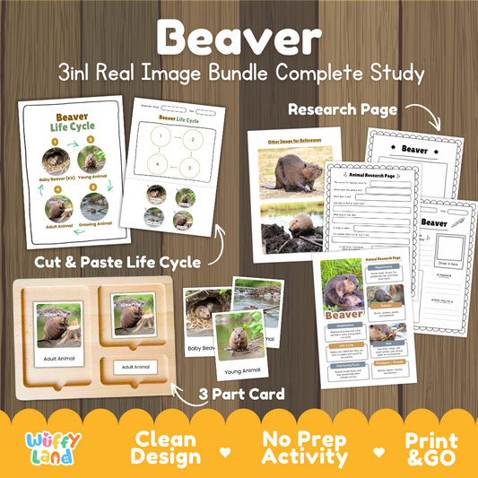 Beaver 3-in-1 real image bundle complete study cover showing cut and paste life cycle, 3 part cards, and research pages