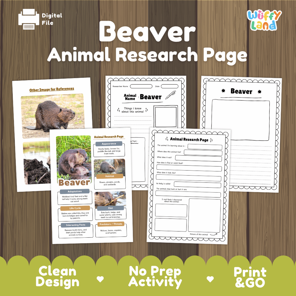 Beaver Animal Research Page Worksheets