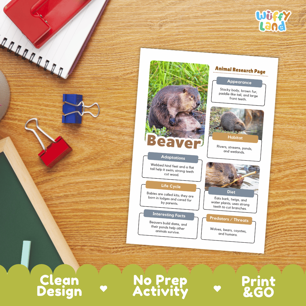 Beaver Animal Research Page Worksheets
