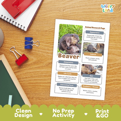 Beaver Animal Research Page Worksheets