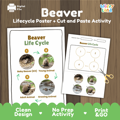 Beaver Life Cycle Poster and Cut and Paste Activity Worksheets