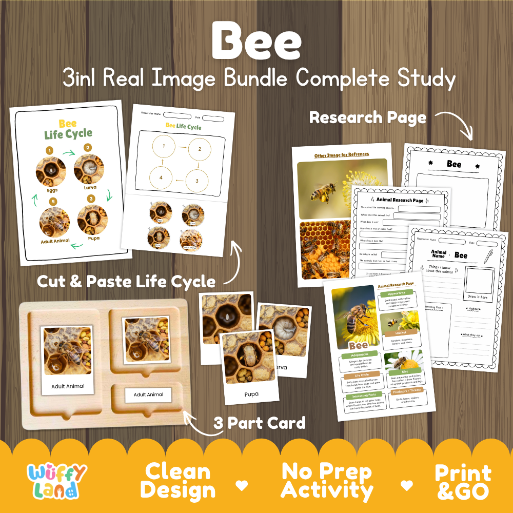 Bee 3-in-1 real image bundle complete study cover showing cut and paste life cycle, 3 part cards, and research pages