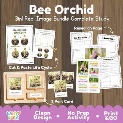 Bee orchid plant 3in1 real image bundle complete study printable featuring life cycle cut and paste worksheets, Montessori 3-part cards, and research pages