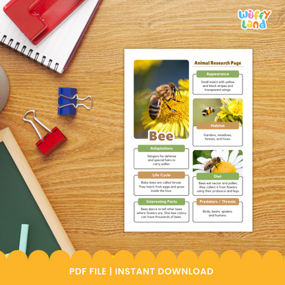Classroom printable pack titled “Bee Animal Research Project” displayed on a wooden background. The set includes photo reference pages showing bees on flowers and honeycombs, along with black-and-white worksheets for students to record information about bees’ appearance, habitat, diet, life cycle, adaptations, and threats. The worksheets include spaces for writing, drawing, and listing interesting facts.