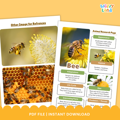 Classroom printable pack titled “Bee Animal Research Project” displayed on a wooden background. The set includes photo reference pages showing bees on flowers and honeycombs, along with black-and-white worksheets for students to record information about bees’ appearance, habitat, diet, life cycle, adaptations, and threats. The worksheets include spaces for writing, drawing, and listing interesting facts.