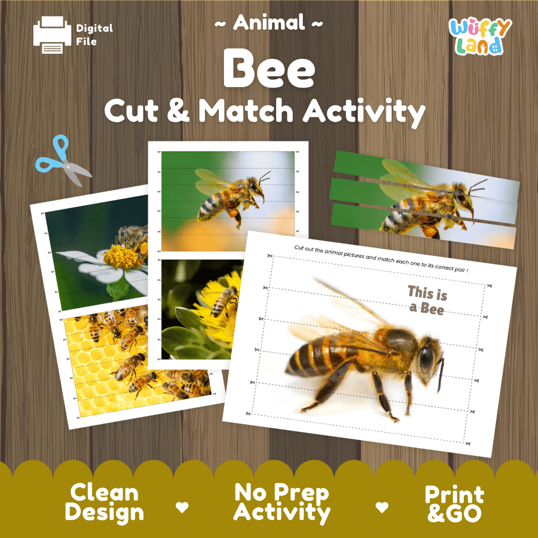 Bee Cut and Match Activity Printables Worksheets