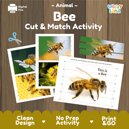 Bee Cut and Match Activity Printables Worksheets
