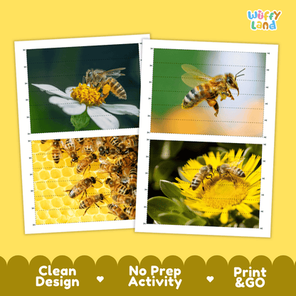 Bee Cut and Match Activity Printables Worksheets