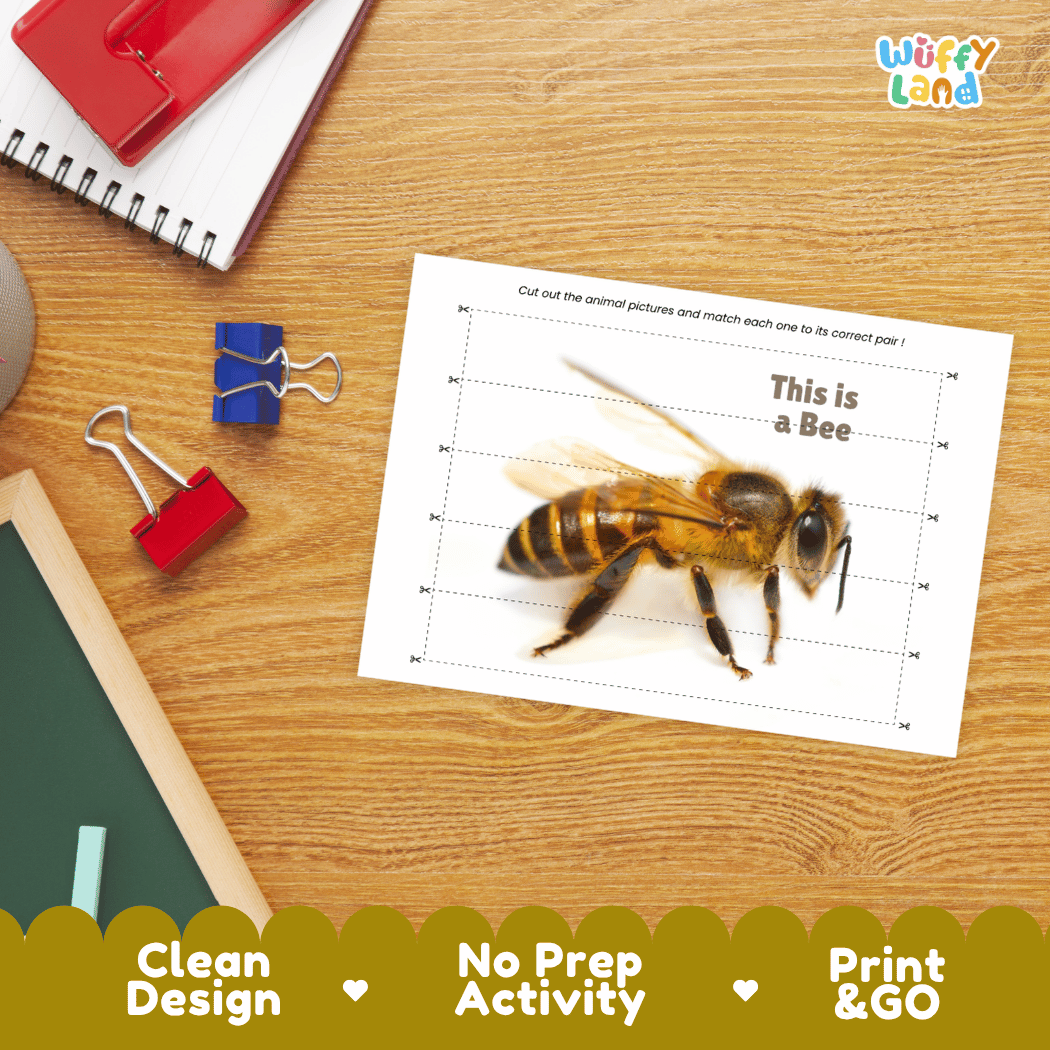 Bee Cut and Match Activity Printables Worksheets