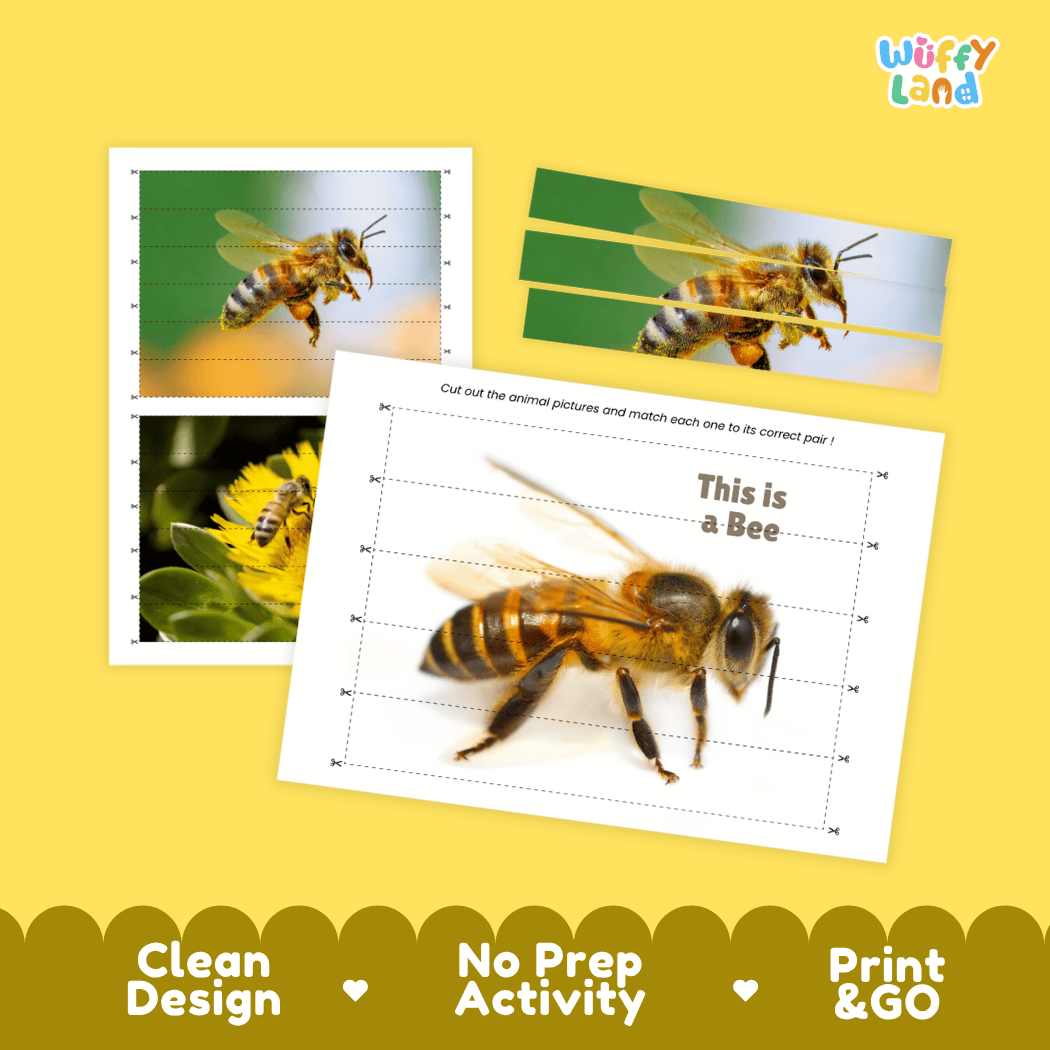 Bee Cut and Match Activity Printables Worksheets
