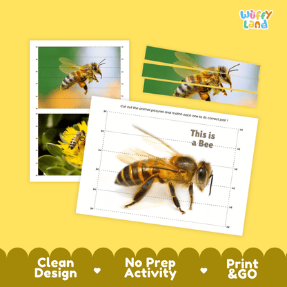 Bee Cut and Match Activity Printables Worksheets