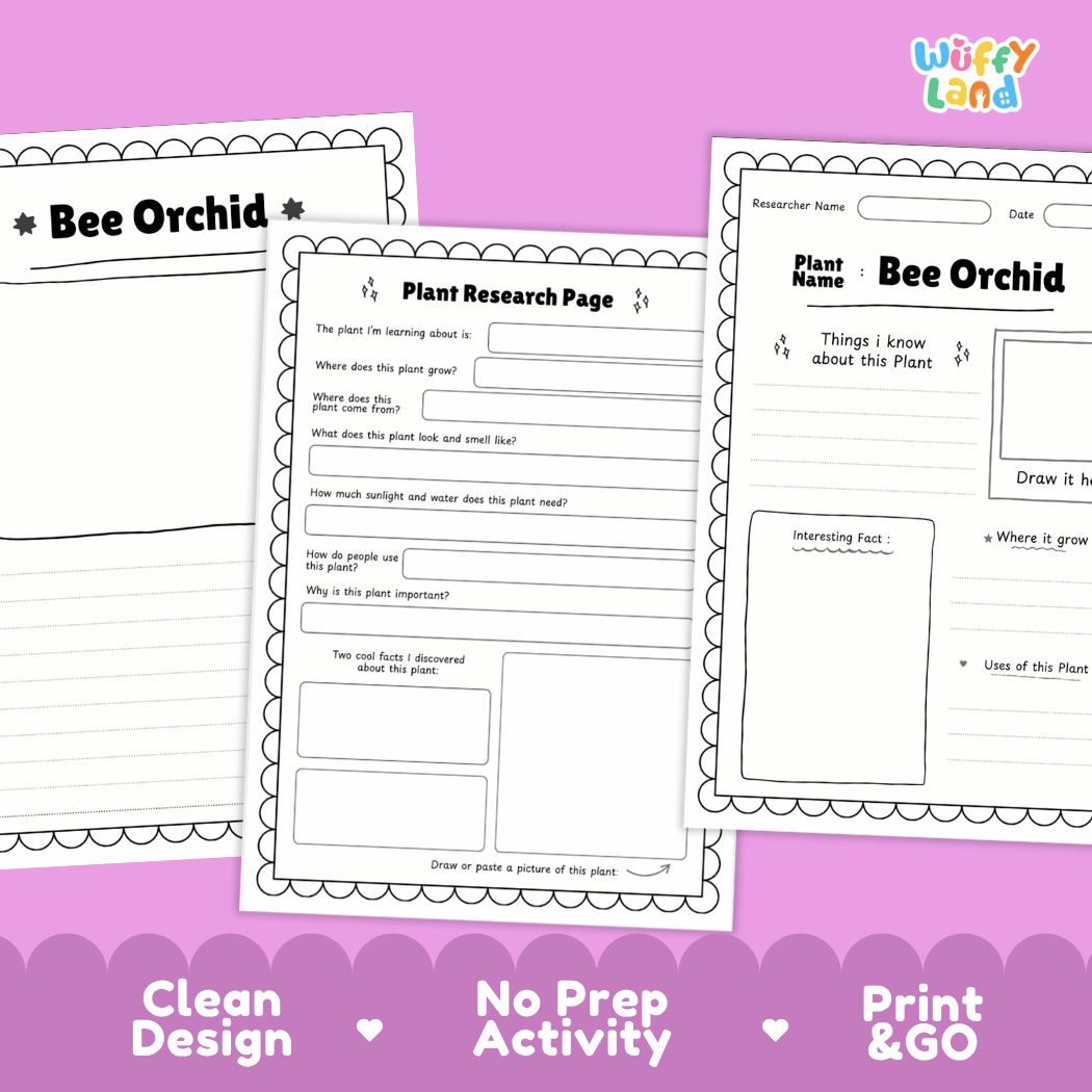 Bee Orchid Plant Research Page Worksheets and Fact Sheet