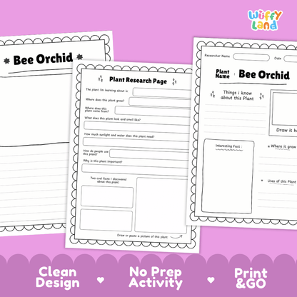 Bee Orchid Plant Research Page Worksheets and Fact Sheet