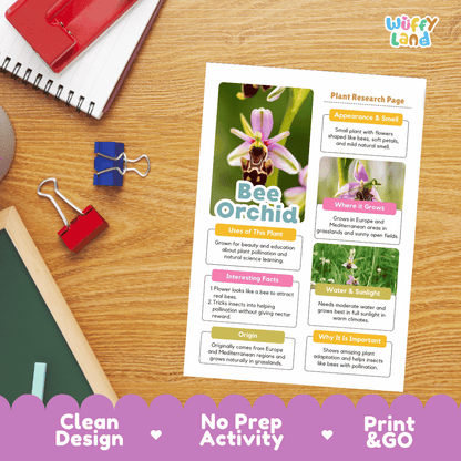 Bee Orchid Plant Research Page Worksheets and Fact Sheet