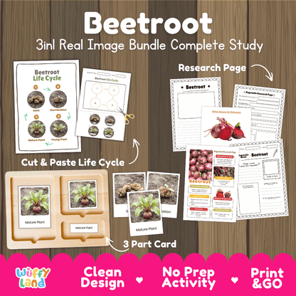 Beetroot 3in1 real image bundle complete study printable featuring life cycle cut and paste worksheets, Montessori 3-part cards, and research pages