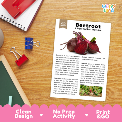 Student reading comprehension worksheet with short-answer questions and lined sections about beetroot root vegetables