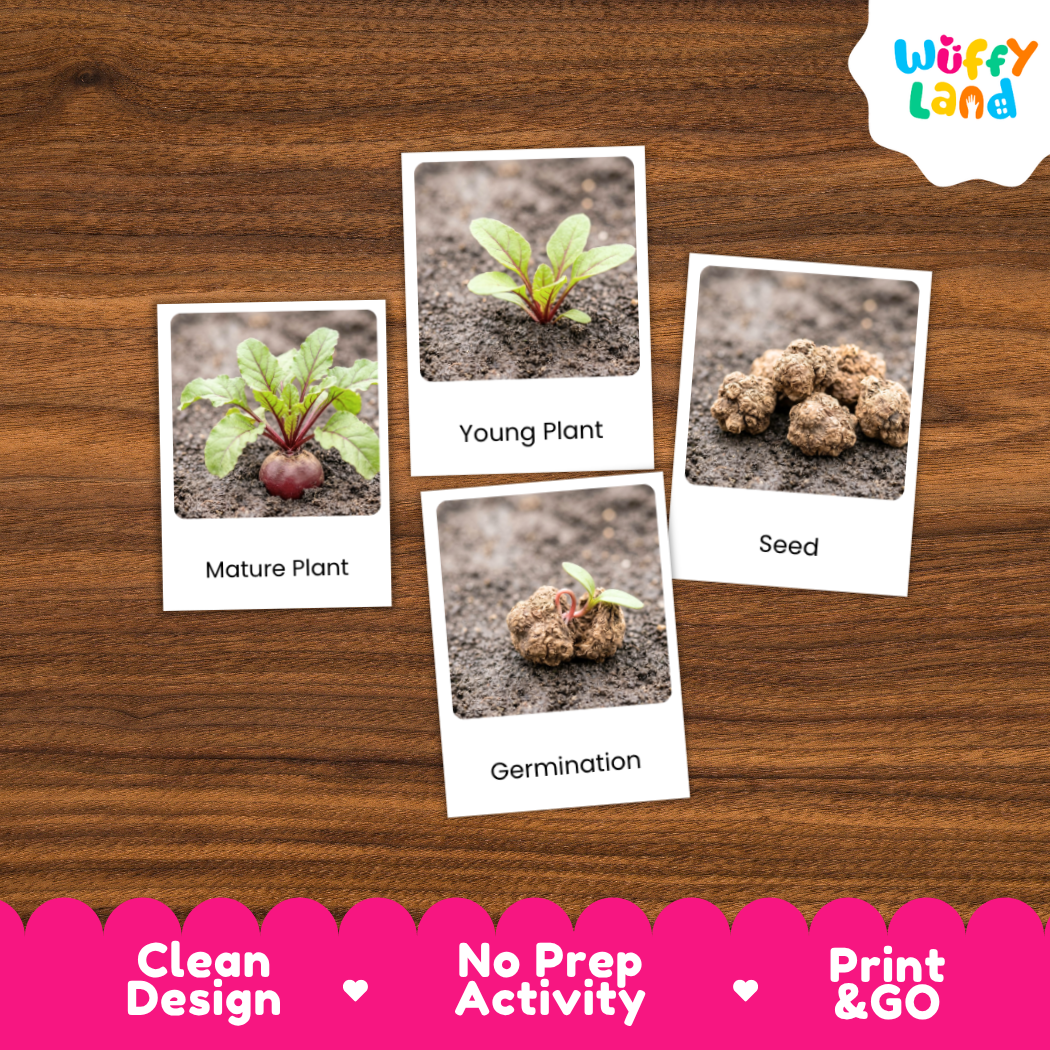 Four labeled educational cards showing plant growth stages ('Mature Plant', 'Young Plant', 'Seed', 'Germination') arranged on a brown wood background, with a white 'Wuffy Land' logo in the top right and a pink banner at the bottom reading 'Clean Design', 'No Prep Activity', and 'Print & GO'.