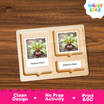 A wooden Montessori-style activity tray with two labeled slots reading 'Mature Plant,' each showing a small photo of a beet plant. The tray is placed on a brown wood surface, with a Wuffi Land logo in the top right and a pink promotional banner along the bottom.