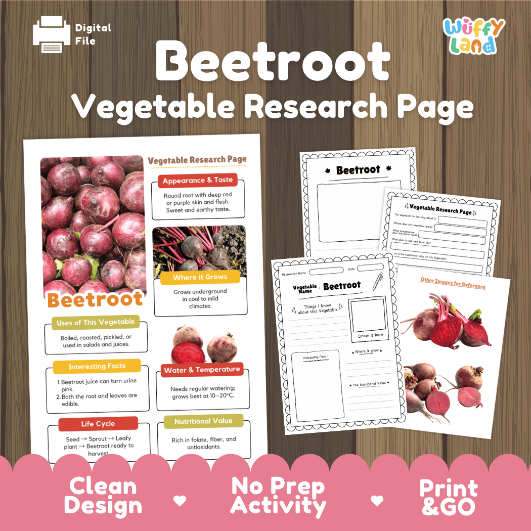 Beetroot Vegetable Research Page Worksheets