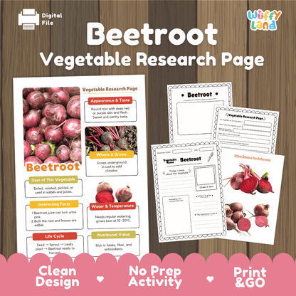 Beetroot Vegetable Research Page Worksheets