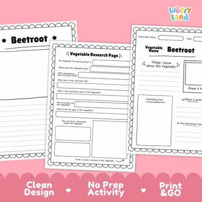 Beetroot Vegetable Research Page Worksheets