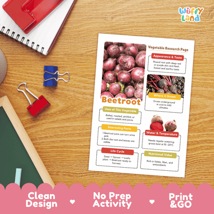 Beetroot Vegetable Research Page Worksheets