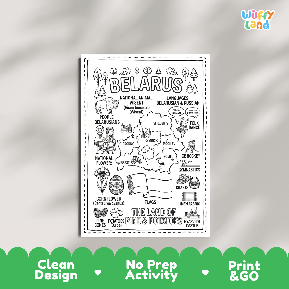 Educational activity coloring page highlighting Belarus national animal Wisent European bison, Cornflower, and flag ornament