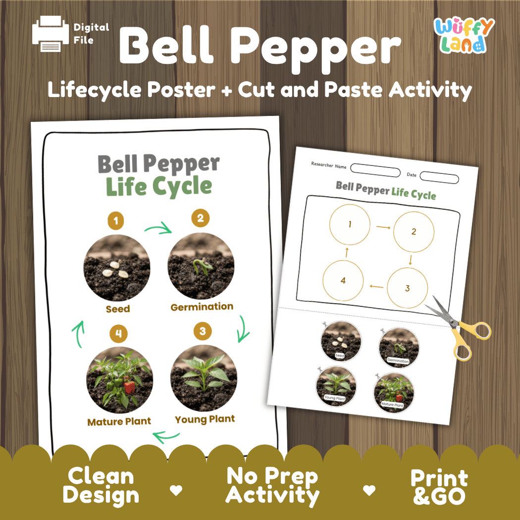 Bell pepper plant life cycle educational printable pack cover showing visual reference poster and cut and paste sequencing worksheet with real photography