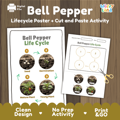 Bell pepper plant life cycle educational printable pack cover showing visual reference poster and cut and paste sequencing worksheet with real photography
