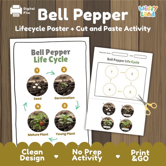 Bell pepper plant life cycle educational printable pack cover showing visual reference poster and cut and paste sequencing worksheet with real photography