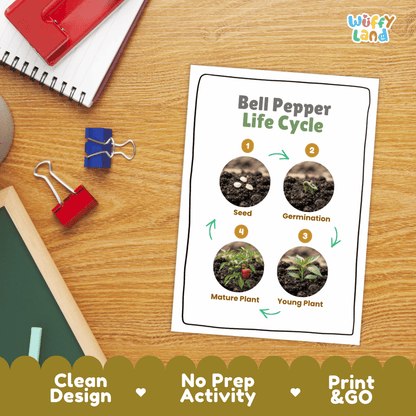 Hands-on cut and paste science worksheet for students to cut real photo tokens and sequence bell pepper growth stages onto numbered circles