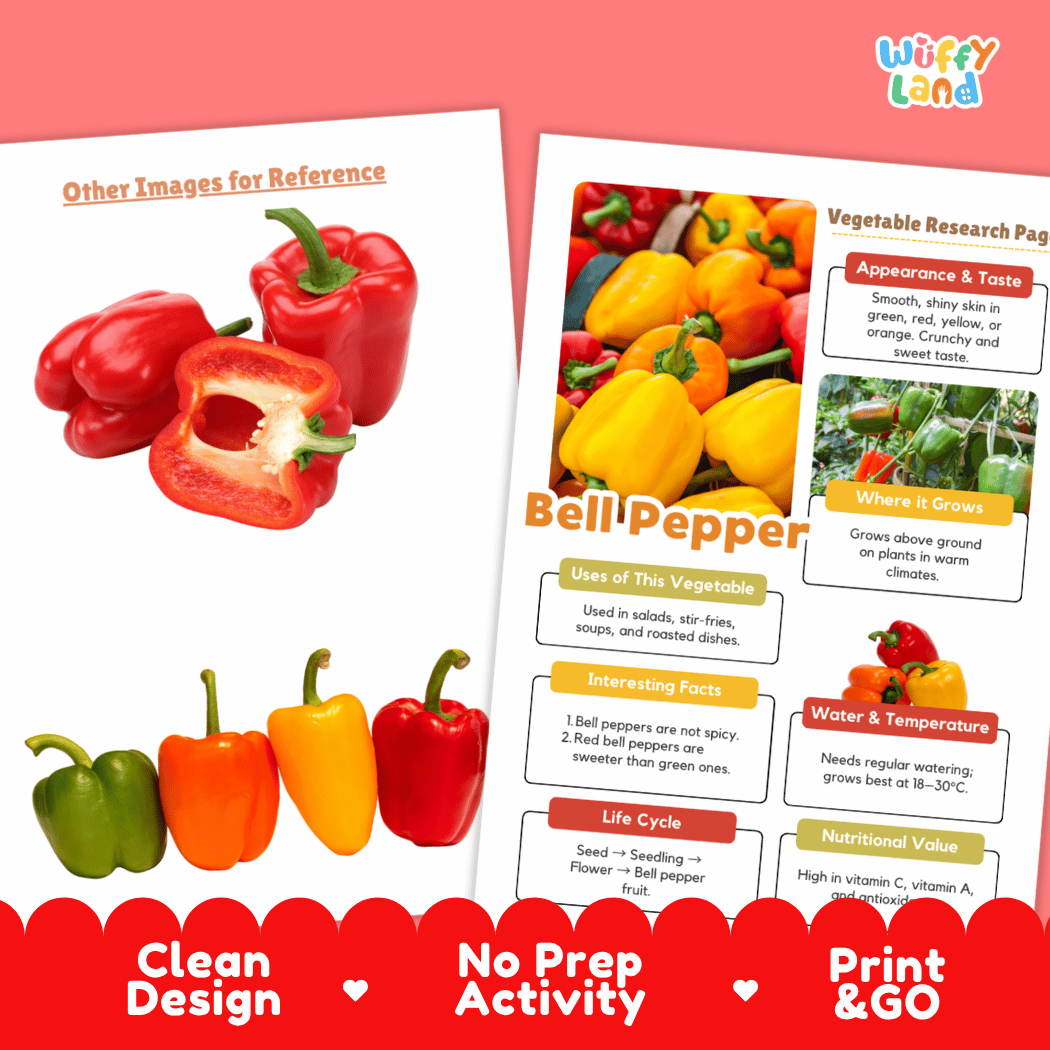 Bell Pepper Vegetable Research Page Worksheets