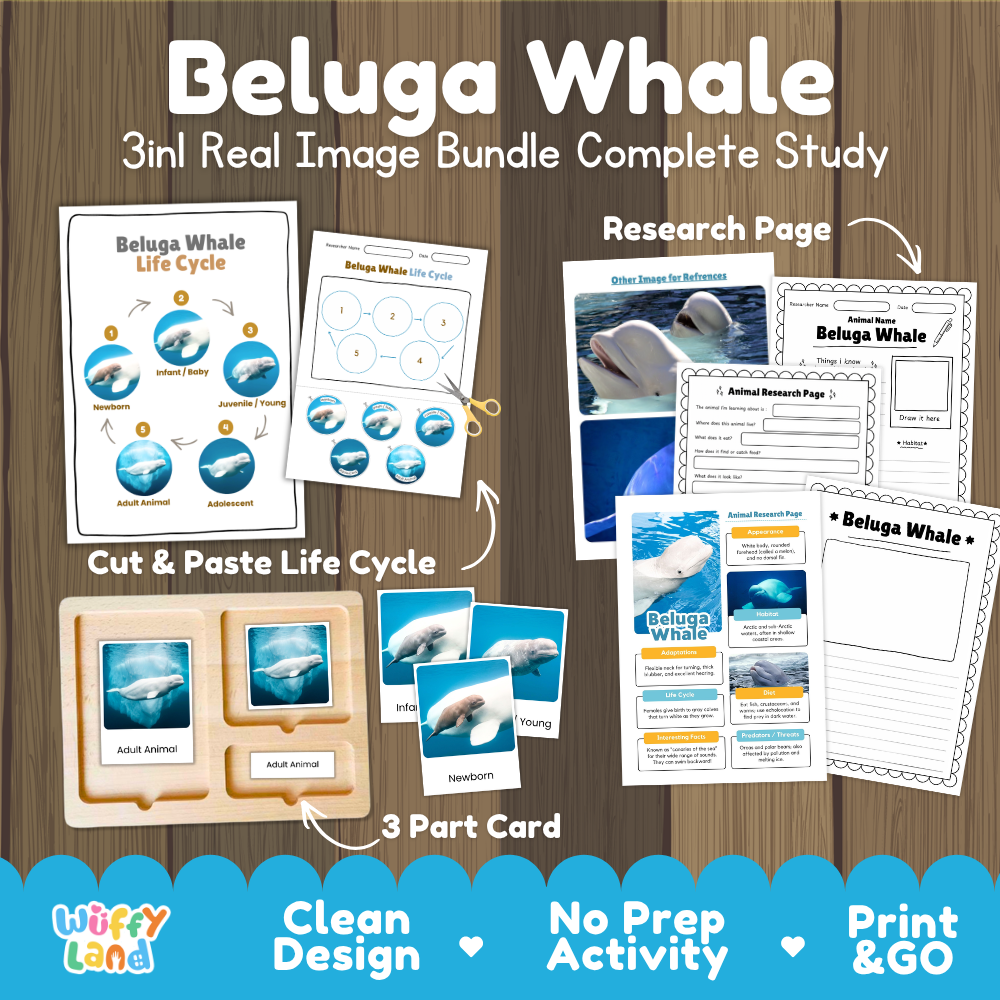 Beluga Whale 3-in-1 real image bundle complete study cover showing cut and paste life cycle, 3 part cards, and research pages