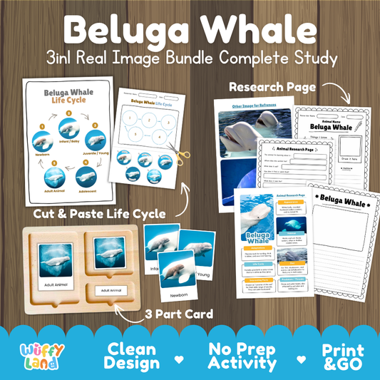 Beluga Whale 3-in-1 real image bundle complete study cover showing cut and paste life cycle, 3 part cards, and research pages