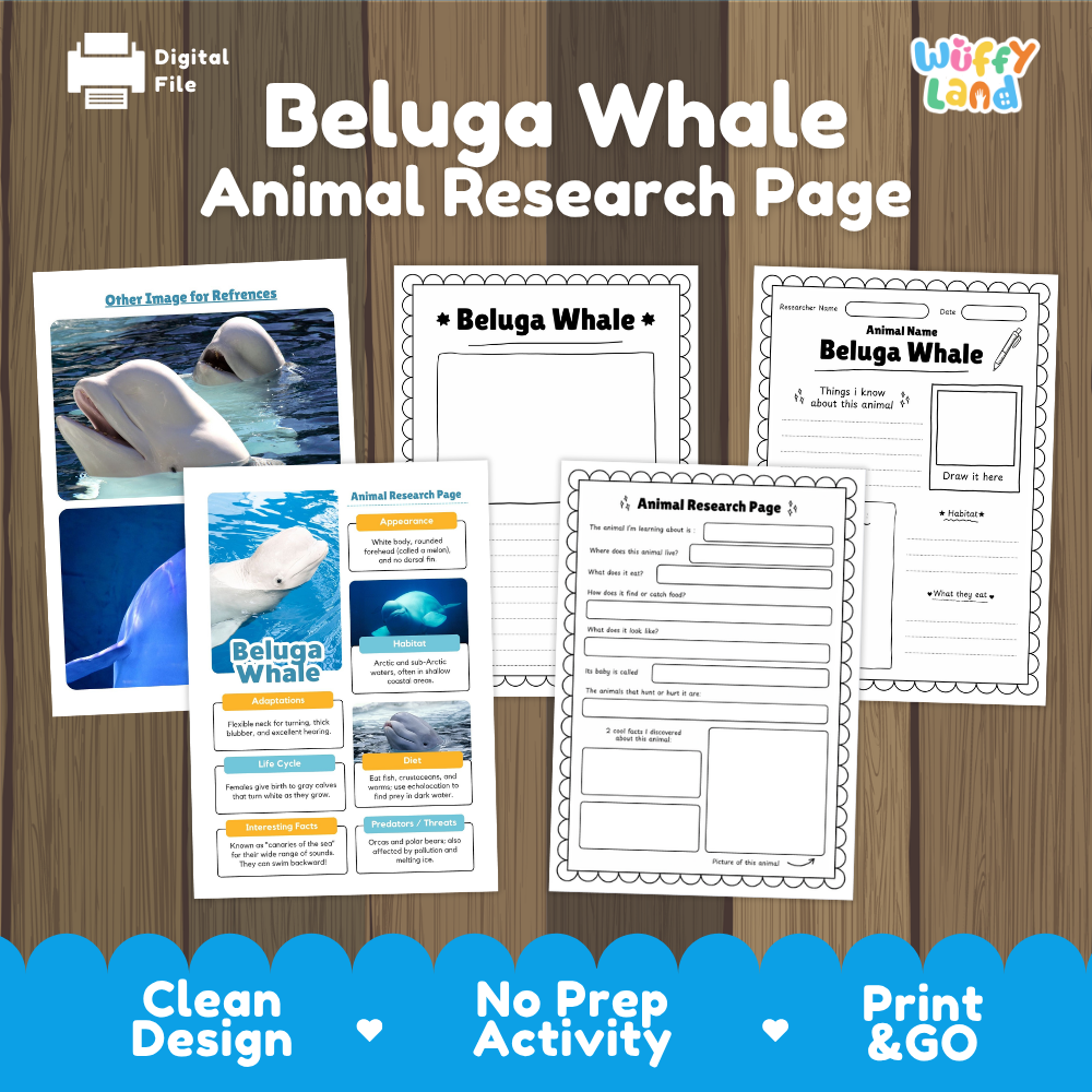 Beluga Whale Animal Research Page printable activity sheet set by Wiffy Land, displayed on a wood-grain background with promotional text at the bottom.