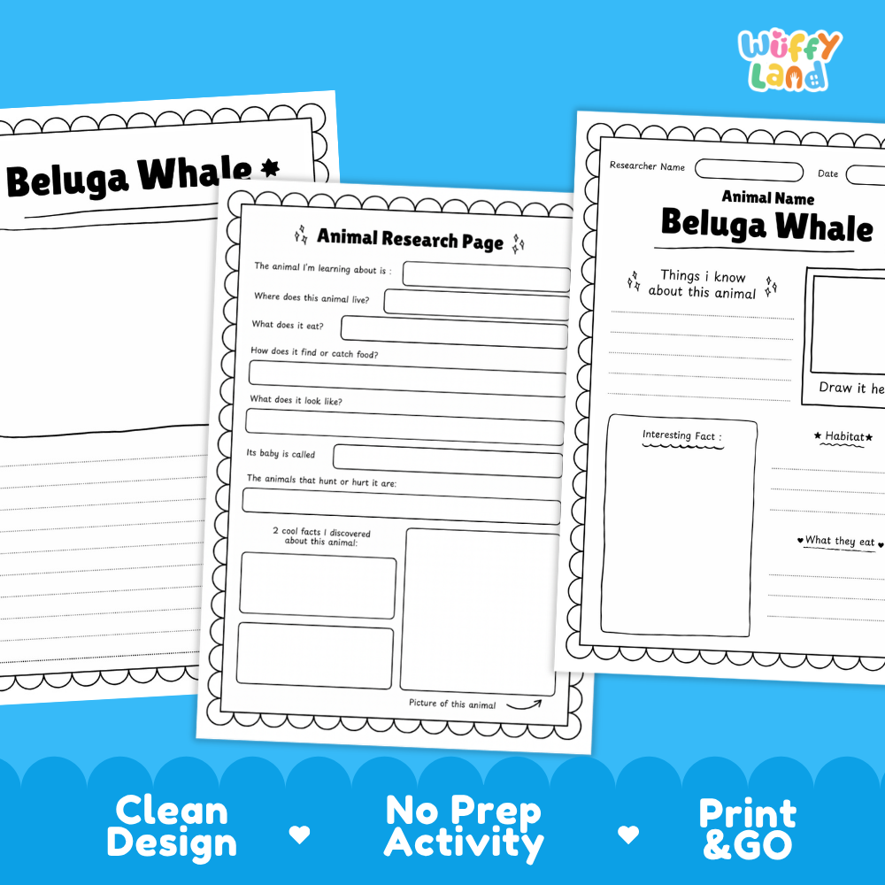 Beluga Whale Animal Research Page Worksheets and Fact Sheet